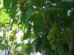 2007_07240038.JPG