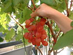 Dscf0139.jpg